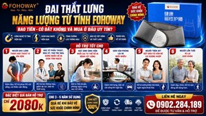 Gía Bán Đai Thắt Lưng Năng Lượng Từ Tính Fohoway Bao Tiền 